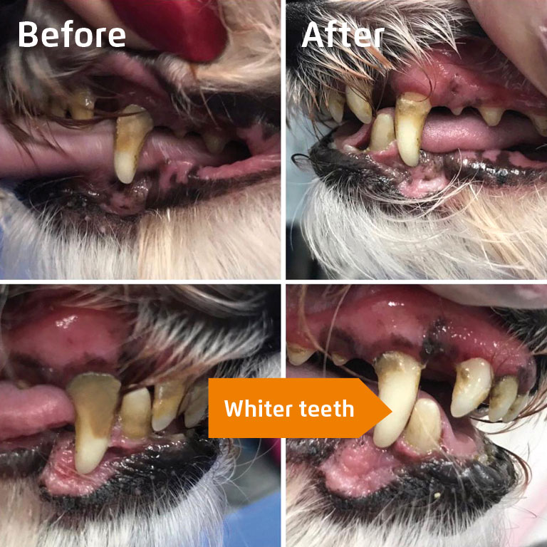 See how the toothbrush removes even heavy tartar (before and after)