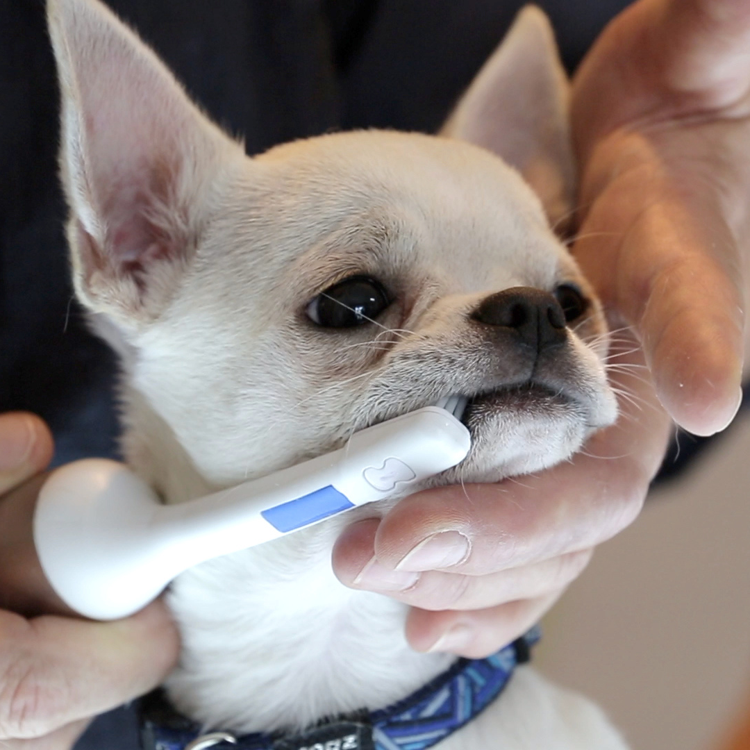 Mira-Pet Pro Starter Kit (Model 2024)