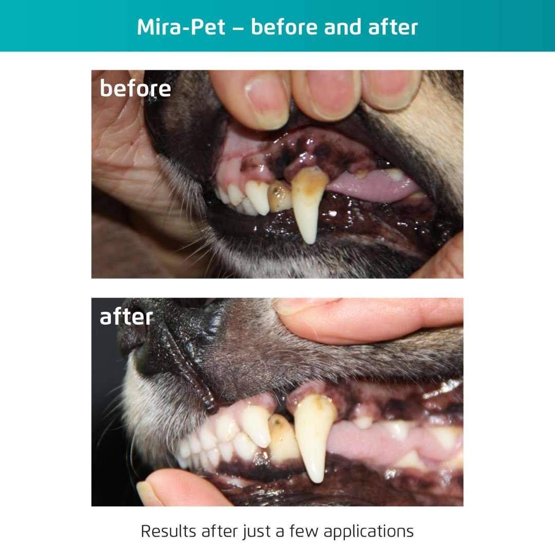 Mira-Pet Pro Starter Kit (Model 2024)